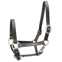 Pagony Leer veulenhalster zwart