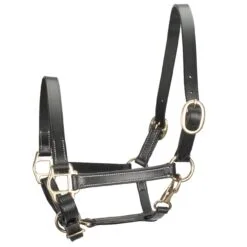 Pagony Leer veulenhalster zwart