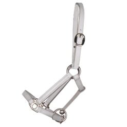 Pagony Shetland showhalster wit