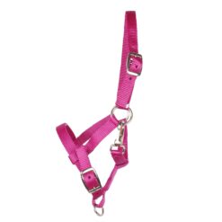 Pagony Happy veulenhalster fuchsia