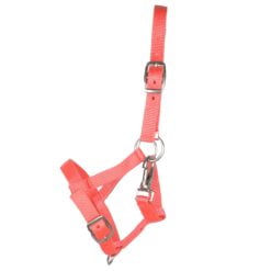 Pagony Happy veulenhalster roze