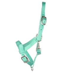 Pagony Happy veulenhalster mint