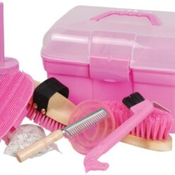 Pagony Poetsbox gevuld roze