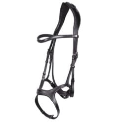 Arturo Arona anatomisch hoofdstel zwart