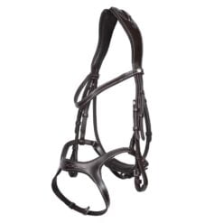 Arturo Arona anatomisch hoofdstel bruin