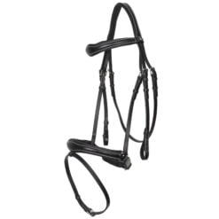 Arturo Atrani hoofdstel zwart