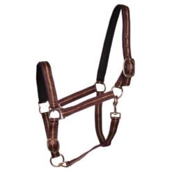 Pagony Lurex halster bordeaux