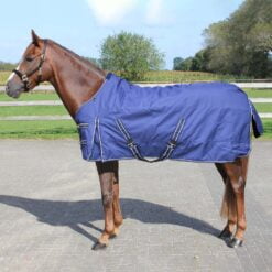 Budget Rider outdoordeken 0-grams blauw Budget Rider outdoordeken 0-grams blauw