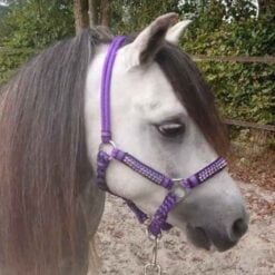 Pagony Deluxe Touwhalster paars