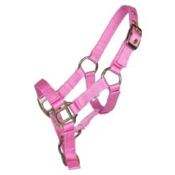 Pagony Lucky veulenhalster roze