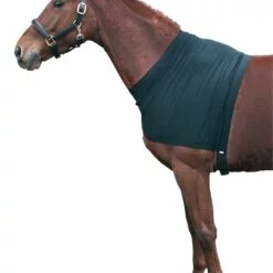 Pagony lycra borstbeschermer zwart