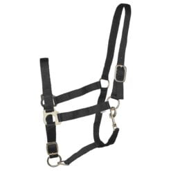 Budget Rider Basic II halster zwart