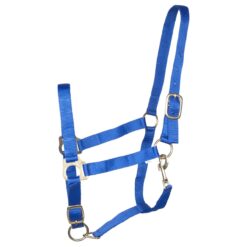 Budget Rider Basic II halster kobalt