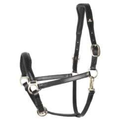 Arturo Pescara halster zwart Arturo Pescara halster zwart