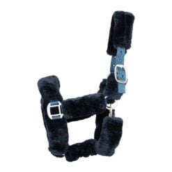 Pagony Pelaje halster petrol