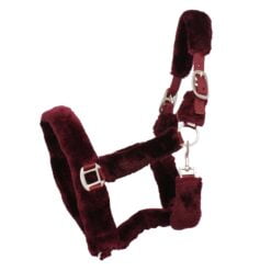 Pagony Pelaje halster bordeaux